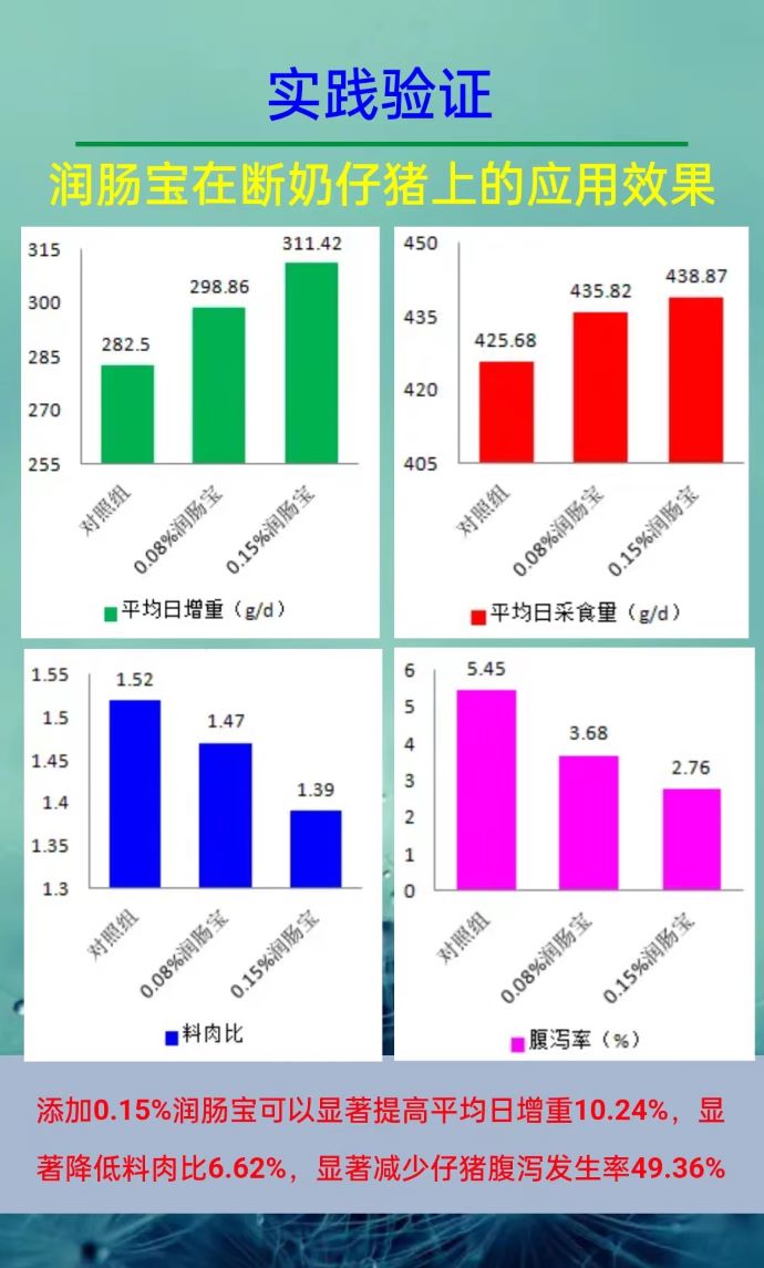 ��ϵ����